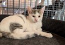 Carla – RESERVIERT!!!