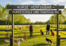 Hundeschule hat Kurse frei!