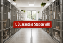Erste Quarantäne Station voll!!