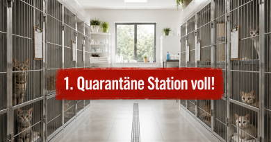 Erste Quarantäne Station voll!!