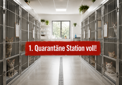 Erste Quarantäne Station voll!!