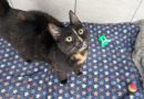 Lexi – Tragend – Quarantäne