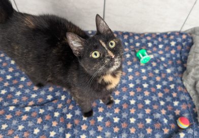 Lexi – Tragend – Quarantäne