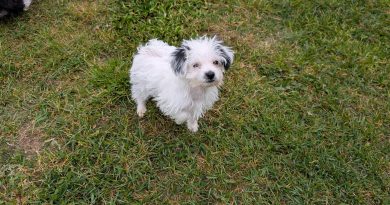 Molly