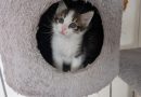 Taco. – RESERVIERT!!!