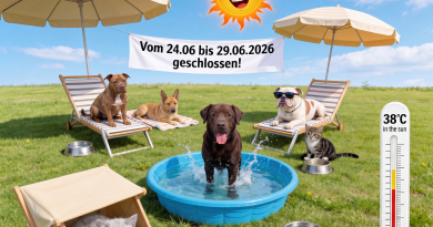 Achtung: Wegen Hitze geschlossen!