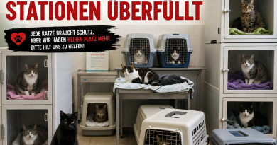 Wir melden: Hoffnungslos überfüllt !!!!!