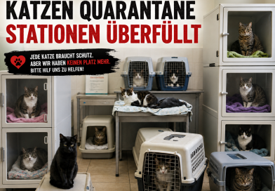 Wir melden: Hoffnungslos überfüllt !!!!!