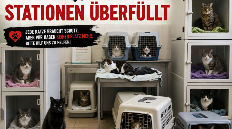 Wir melden: Hoffnungslos überfüllt !!!!!