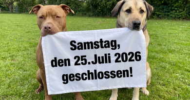 ❗️❗️Achtung: