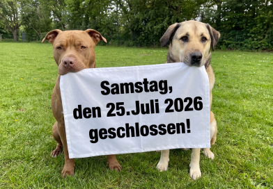 ❗️❗️Achtung: