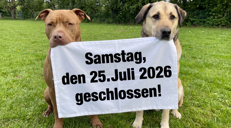 ❗️❗️Achtung: