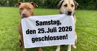❗️❗️Achtung: