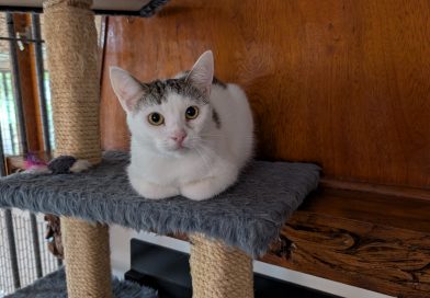 Carla.