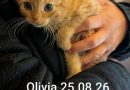 Olivia